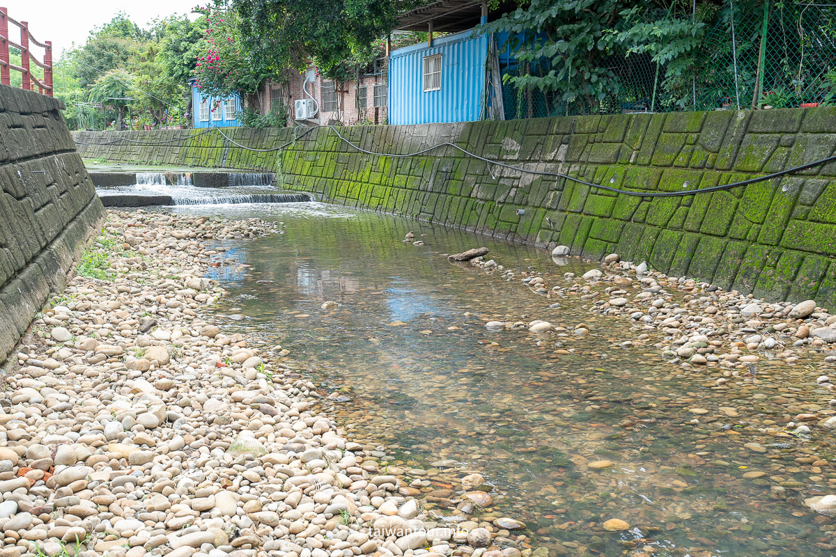 【沙鹿南勢溪湧泉】台中親子玩水景點