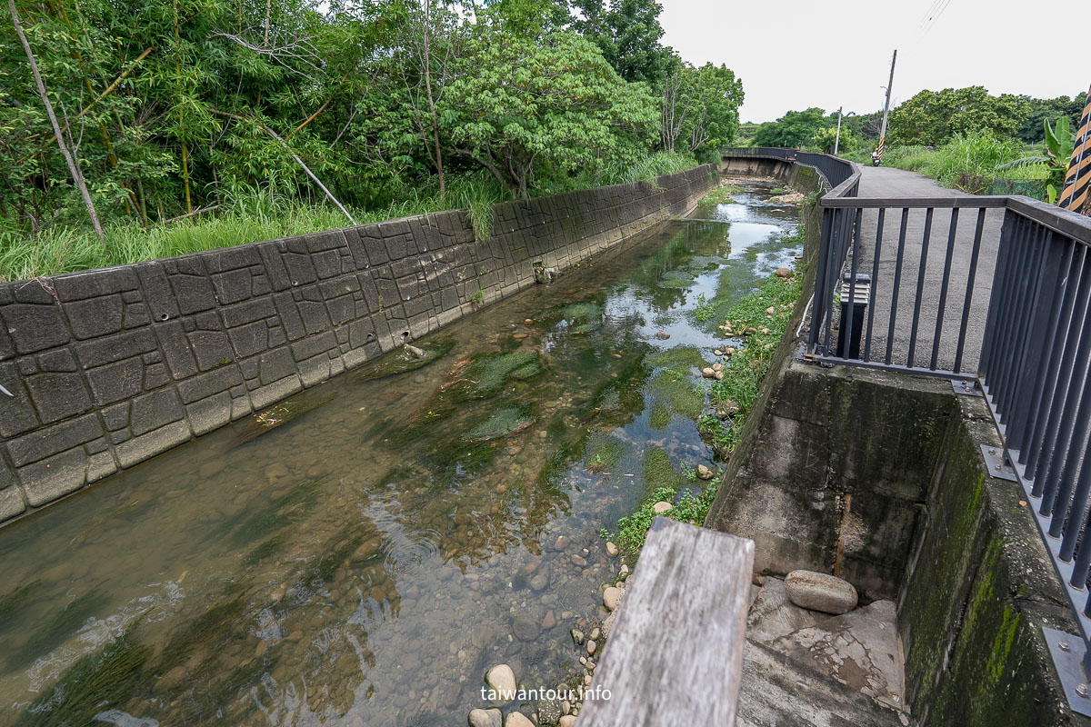 【沙鹿南勢溪湧泉】台中親子玩水景點