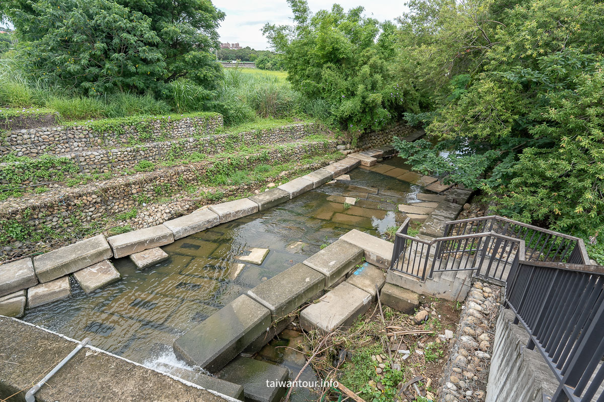 【沙鹿南勢溪湧泉】台中親子玩水景點