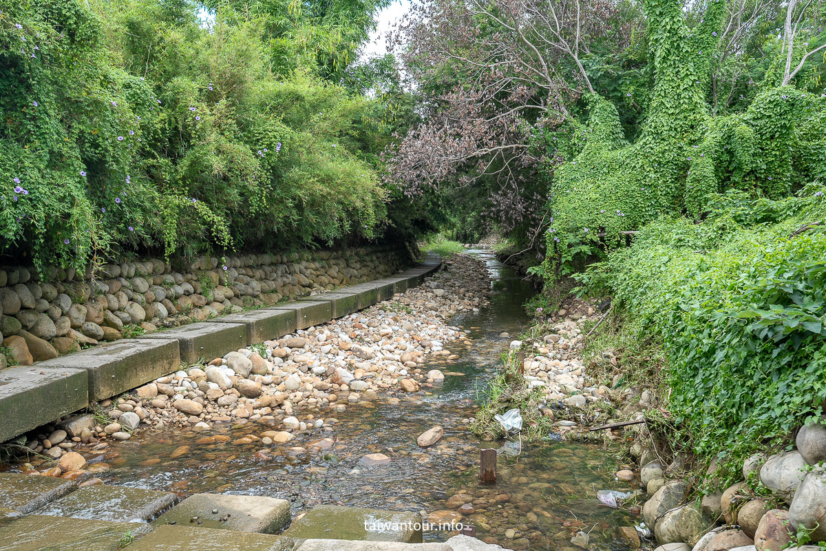 【沙鹿南勢溪湧泉】台中親子玩水景點