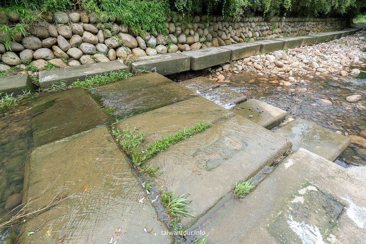 【沙鹿南勢溪湧泉】台中親子玩水景點