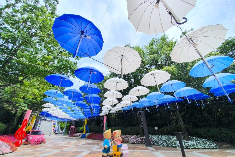 【2025大邱自由行】韓國美食景點地圖.一日遊行程.交通住宿全攻略