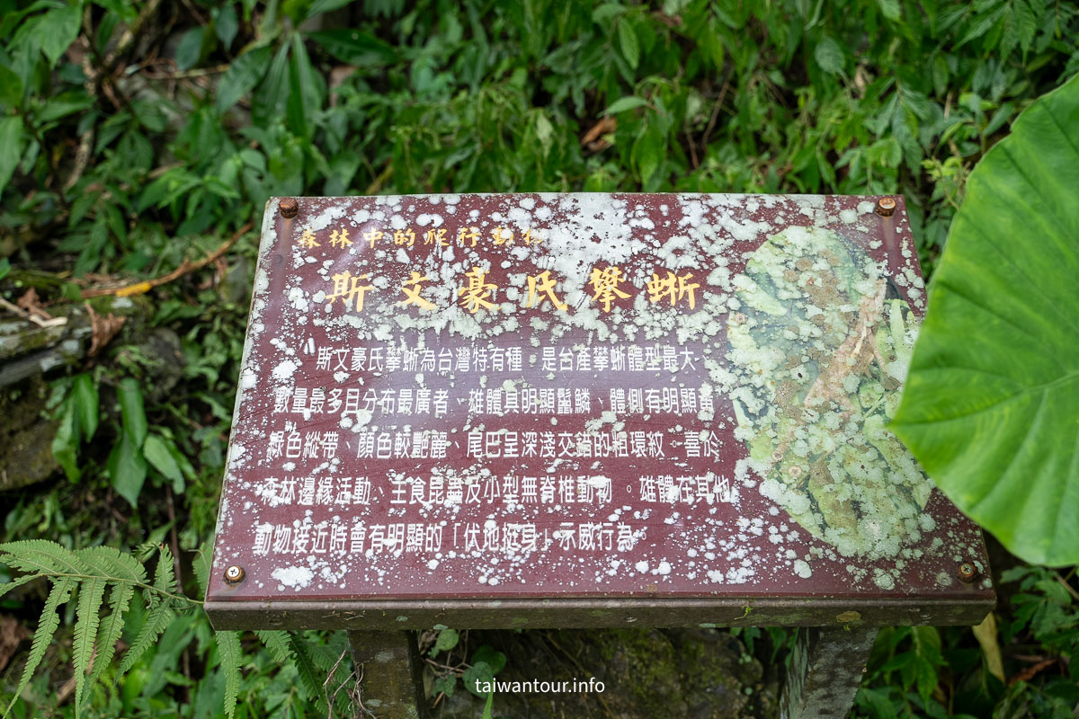 【中山步道(舊寮瀑布)】宜蘭親子步道.交通.景點.IG美照一次掌握！