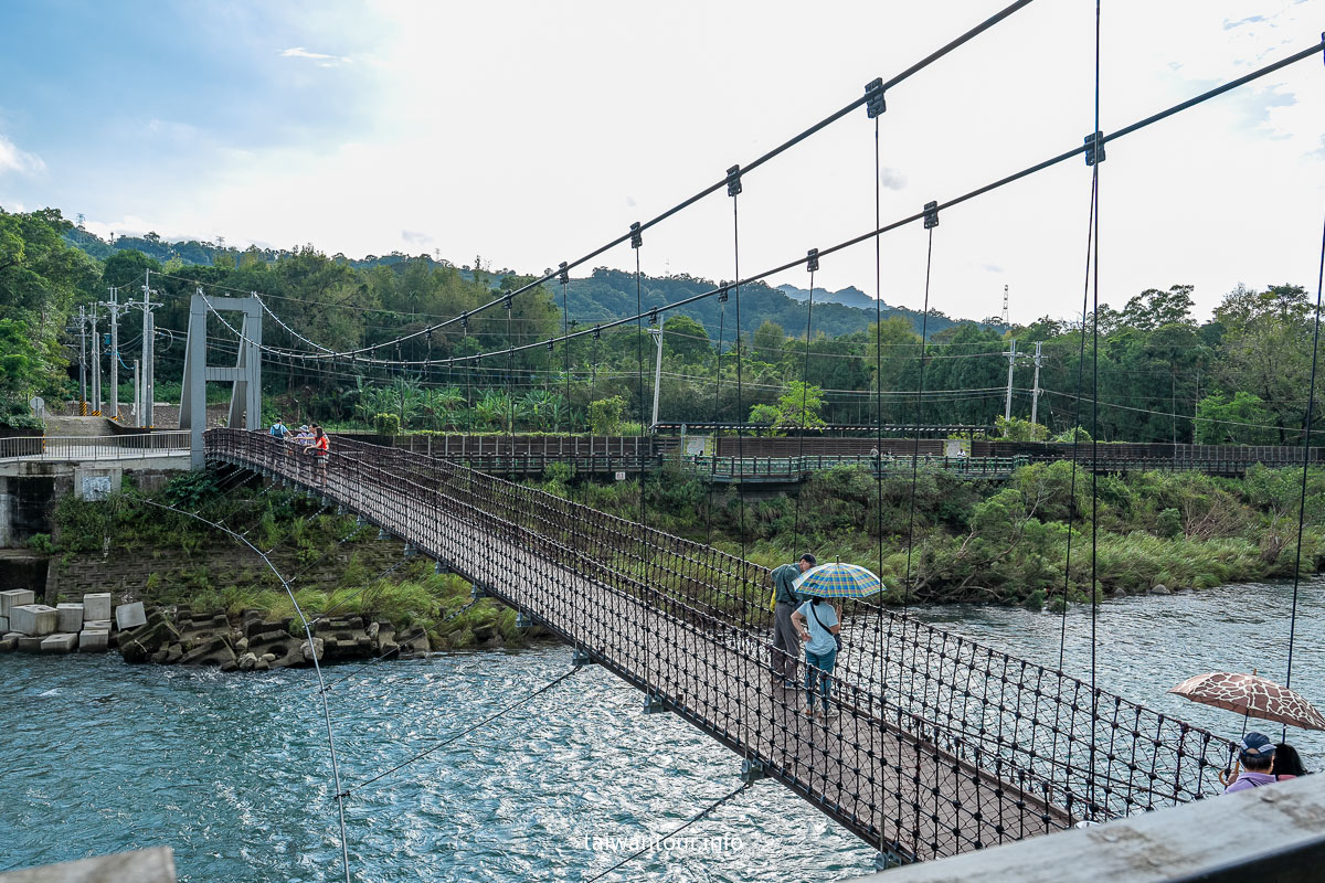 【逮魚堀溪自行車道】新北坪林景點推薦親子觀魚步道