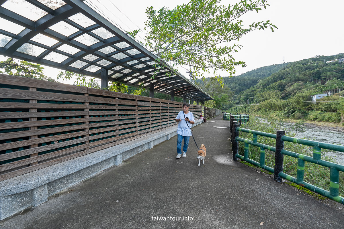 【逮魚堀溪自行車道】新北坪林景點推薦親子觀魚步道