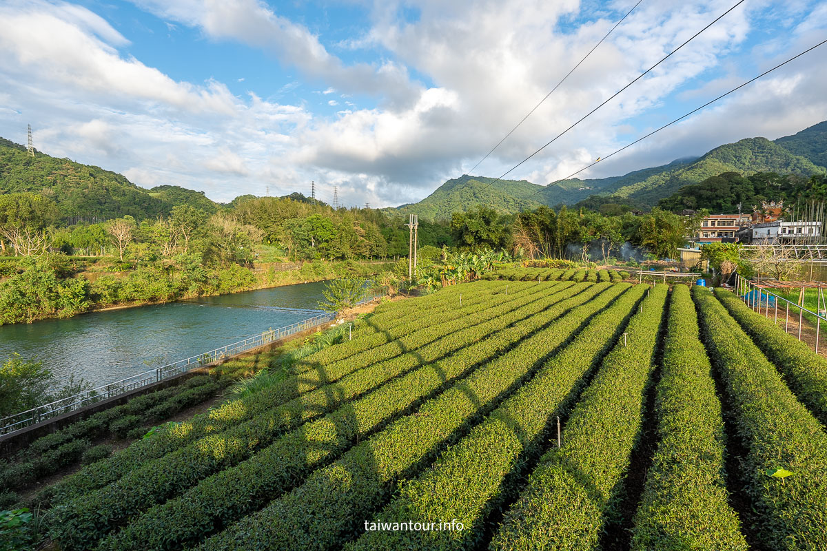 【逮魚堀溪自行車道】新北坪林景點推薦親子觀魚步道