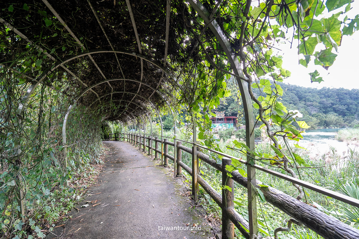 【逮魚堀溪自行車道】新北坪林景點推薦親子觀魚步道
