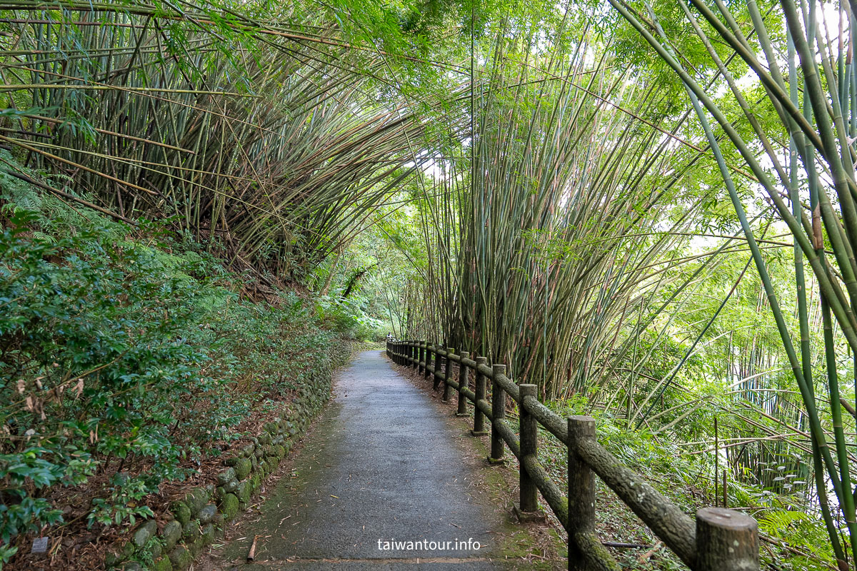 【逮魚堀溪自行車道】新北坪林景點推薦親子觀魚步道