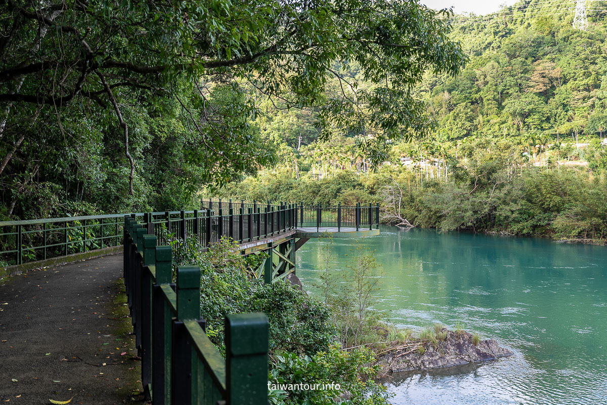 【逮魚堀溪自行車道】新北坪林景點推薦親子觀魚步道