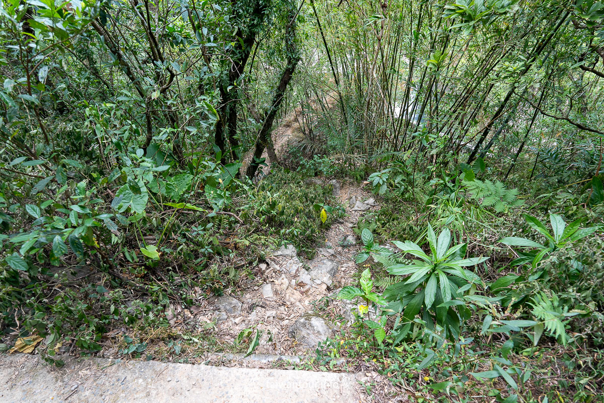 【紅河谷越嶺古道（烏來段）】新北親子步道.玩水景點