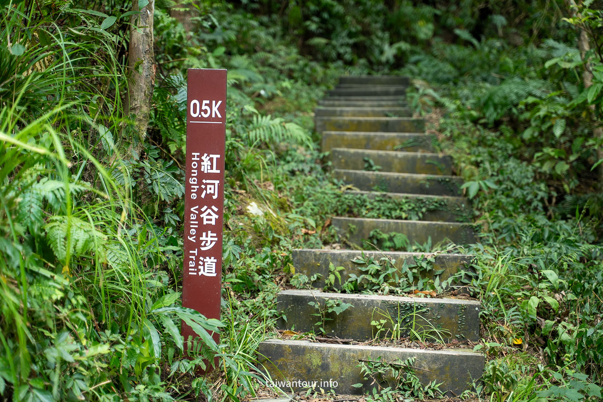 【紅河谷越嶺古道（烏來段）】新北親子步道.玩水景點
