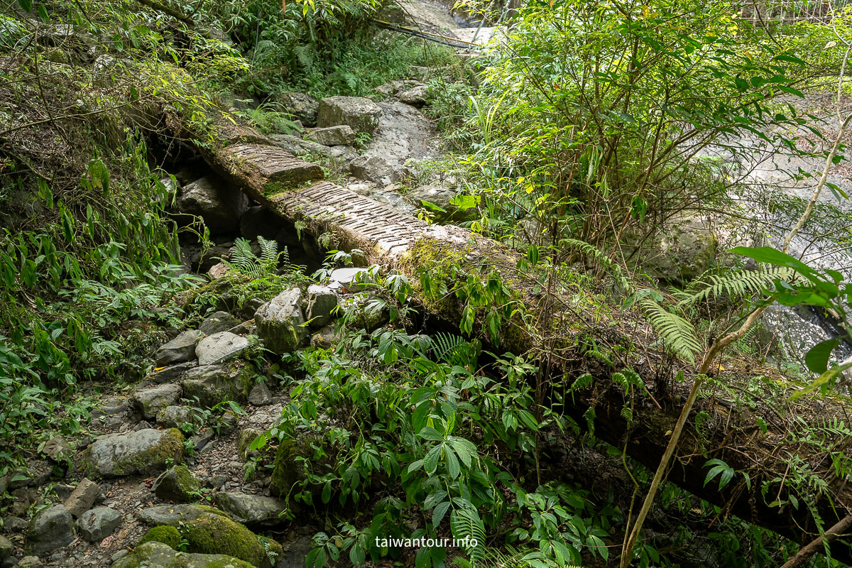【紅河谷越嶺古道（烏來段）】新北親子步道.玩水景點