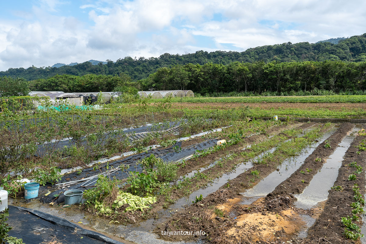 【 洛神花游木食宴||大溪區康莊休閒農業發展協會】有機食農教育x親子DIY深度體驗