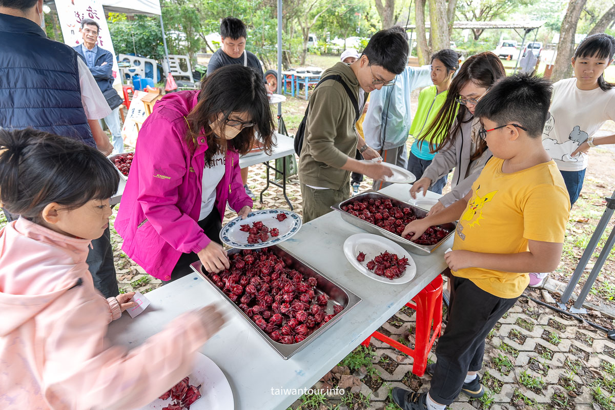 【 洛神花游木食宴||大溪區康莊休閒農業發展協會】有機食農教育x親子DIY深度體驗