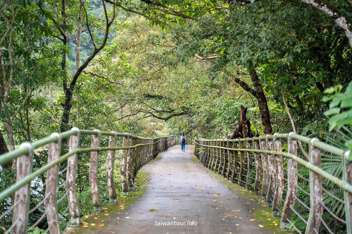 【北勢溪自行車道(粗坑口步道)】北部最美親子茶香步道坪林 【北勢溪自行車道(粗坑口步道)】北部最美親子茶香步道坪林