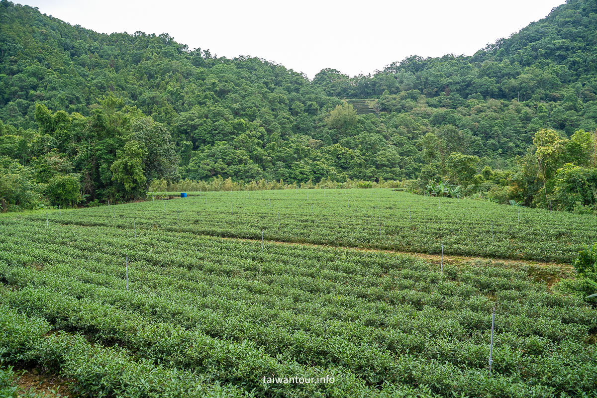 【北勢溪自行車道(粗坑口步道)】北部最美親子茶香步道坪林 【北勢溪自行車道(粗坑口步道)】北部最美親子茶香步道坪林
