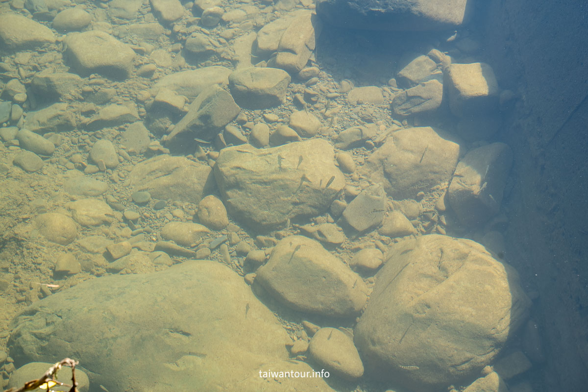 【北勢溪自行車道(粗坑口步道)】北部最美親子茶香步道坪林