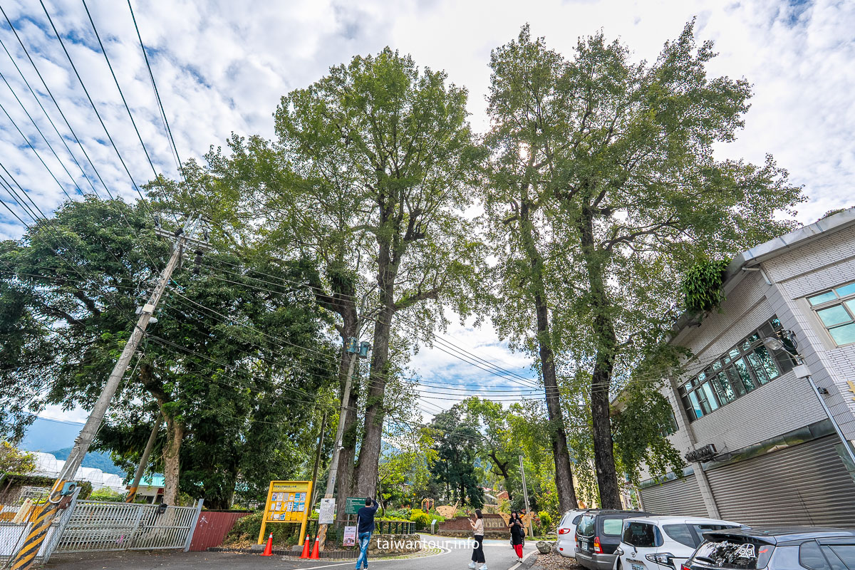 【跟著竹跡去旅行・南投嘉義旅程】從村落到茶園的深度文化饗宴