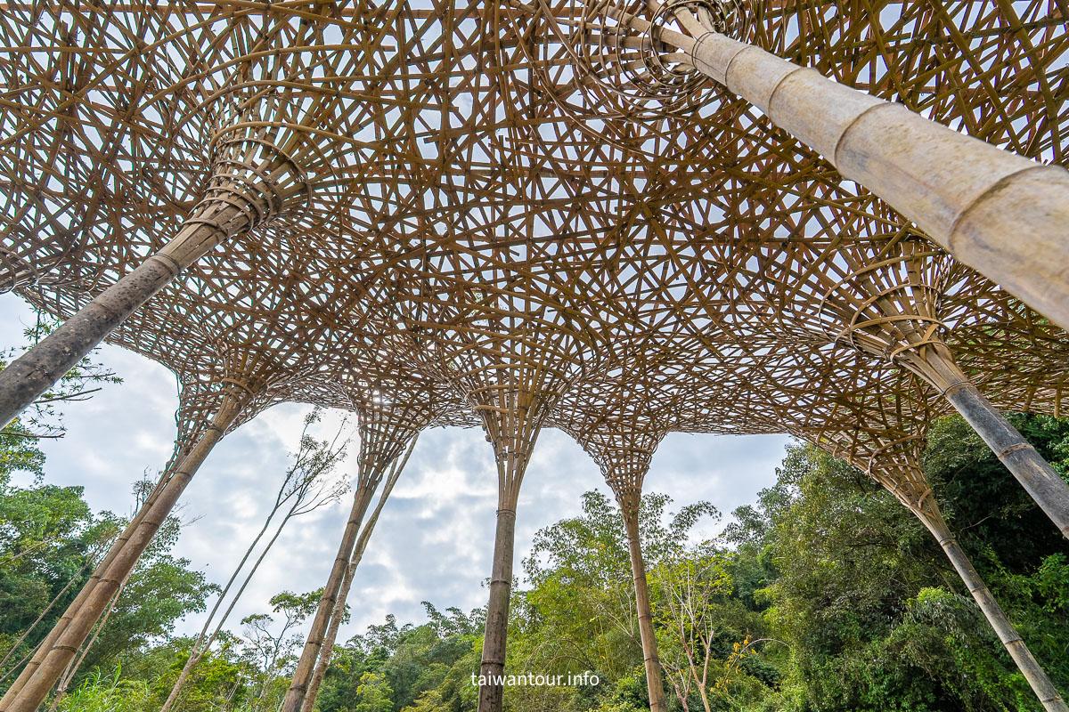 【跟著竹跡去旅行・南投嘉義旅程】從村落到茶園的深度文化饗宴