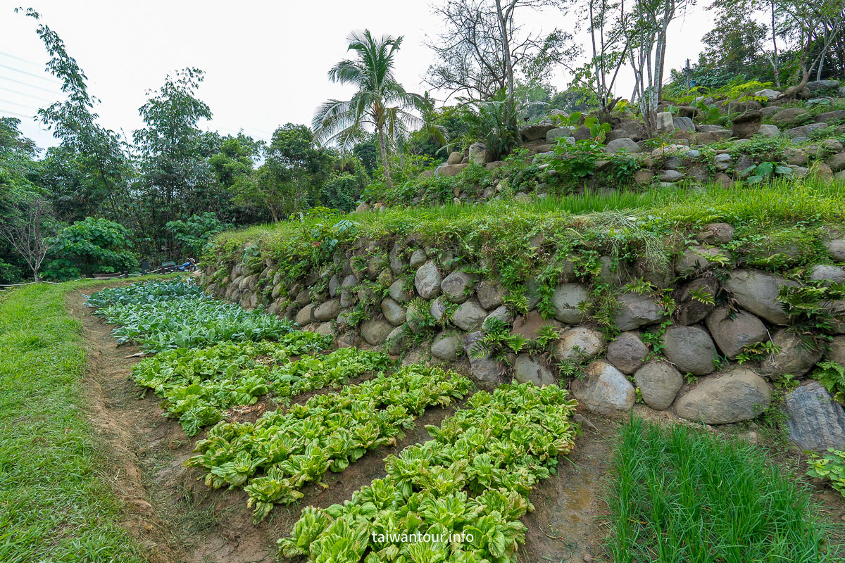 【跟著竹跡去旅行・南投嘉義旅程】從村落到茶園的深度文化饗宴