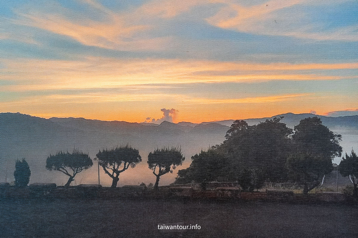 【南山寺景觀平台】新北抹茶山親子步道推薦
