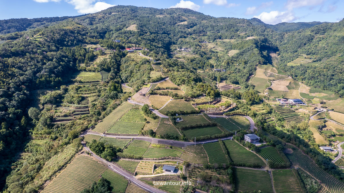 【南山寺景觀平台】新北抹茶山親子步道推薦