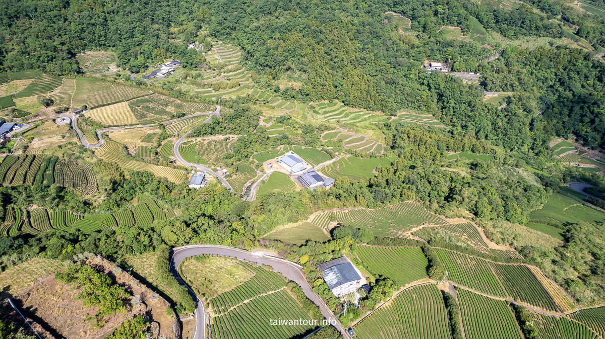 【南山寺景觀平台】新北抹茶山親子步道推薦