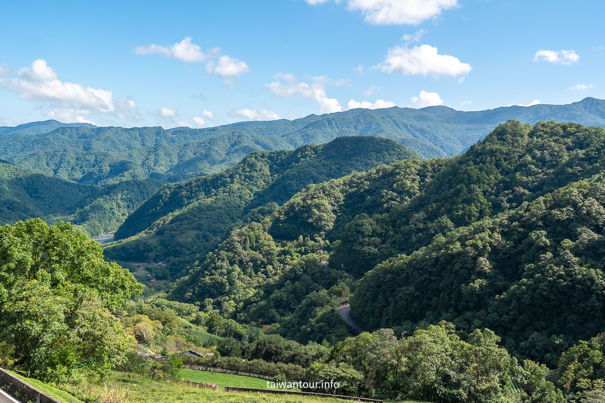 【南山寺景觀平台】新北抹茶山親子步道推薦