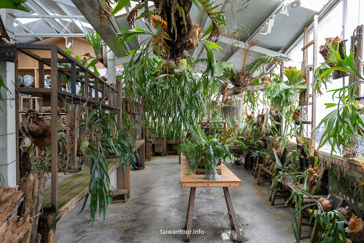 【空氣圖書館】嘉義竹崎真的沒有書，只有滿滿的森呼吸！