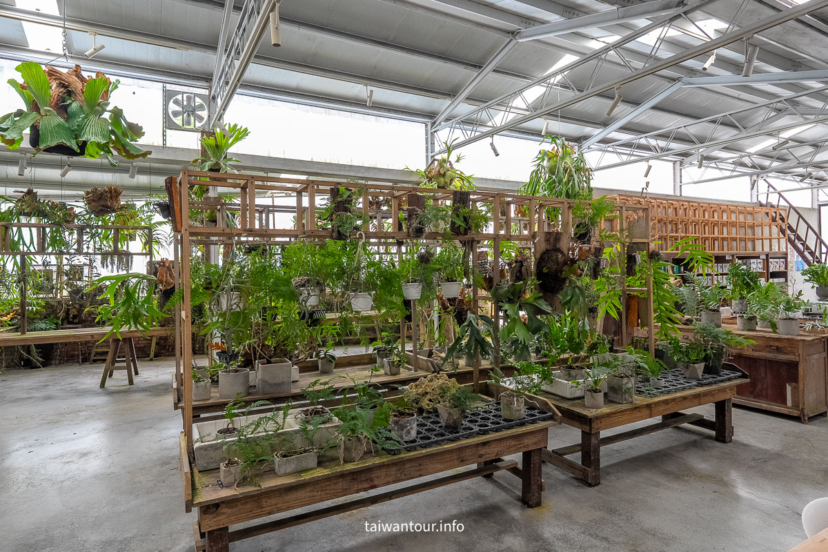 【空氣圖書館】嘉義竹崎真的沒有書，只有滿滿的森呼吸！