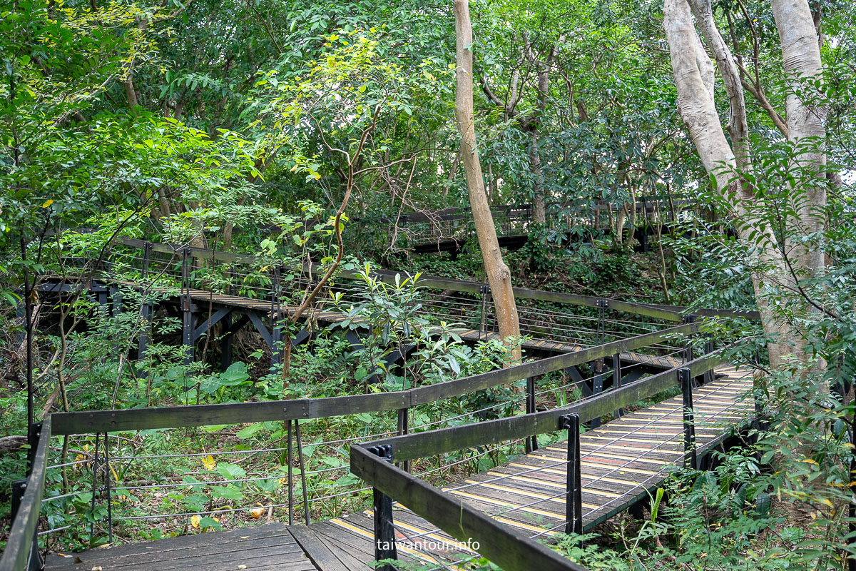 【芝山岩文化史蹟公園】台步親子步道推薦.士林