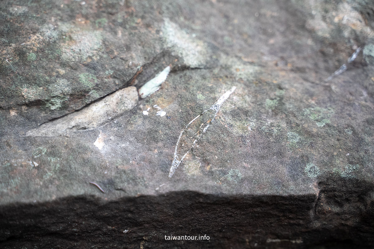 【芝山岩文化史蹟公園】台步親子步道推薦.士林