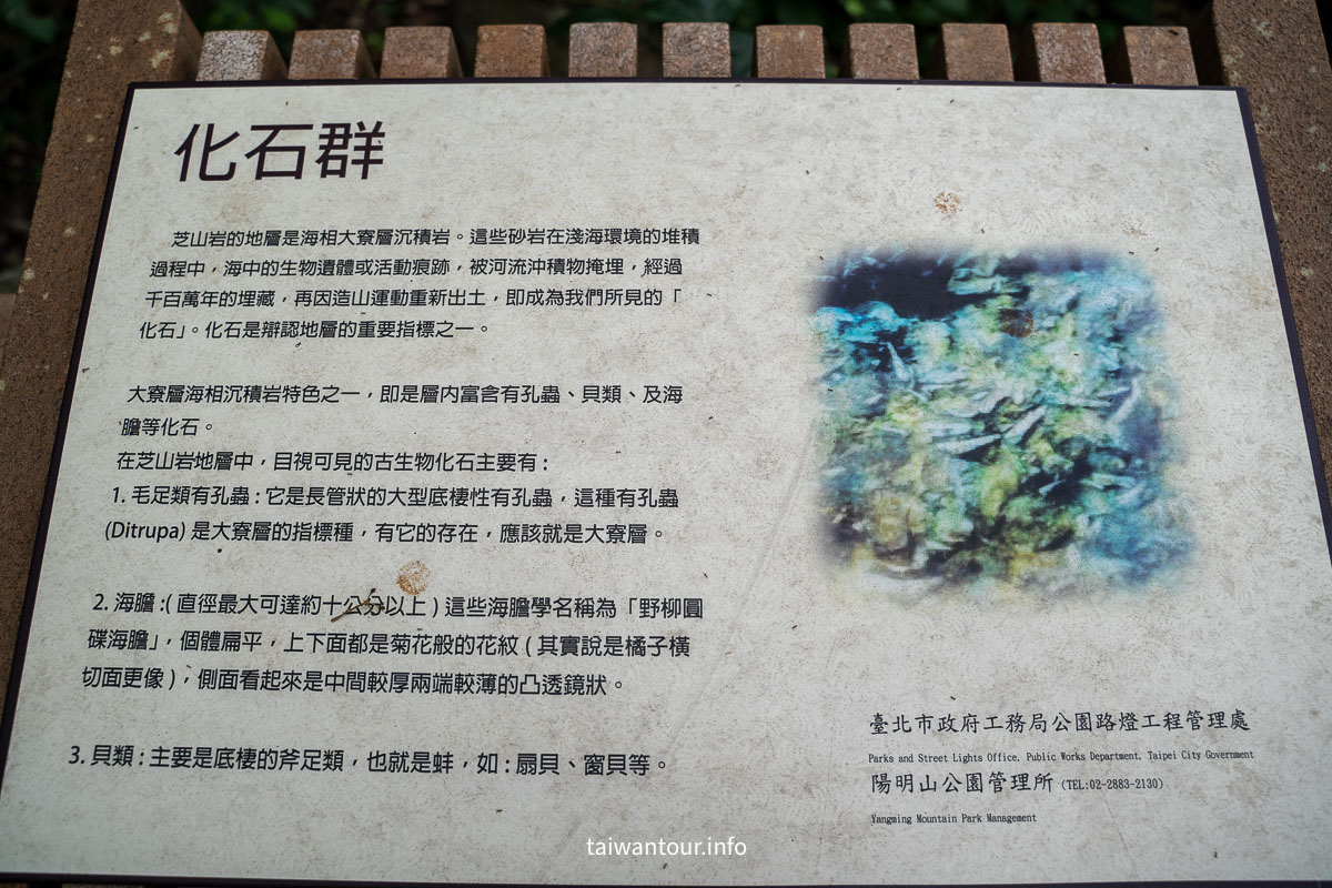 【芝山岩文化史蹟公園】台步親子步道推薦.士林