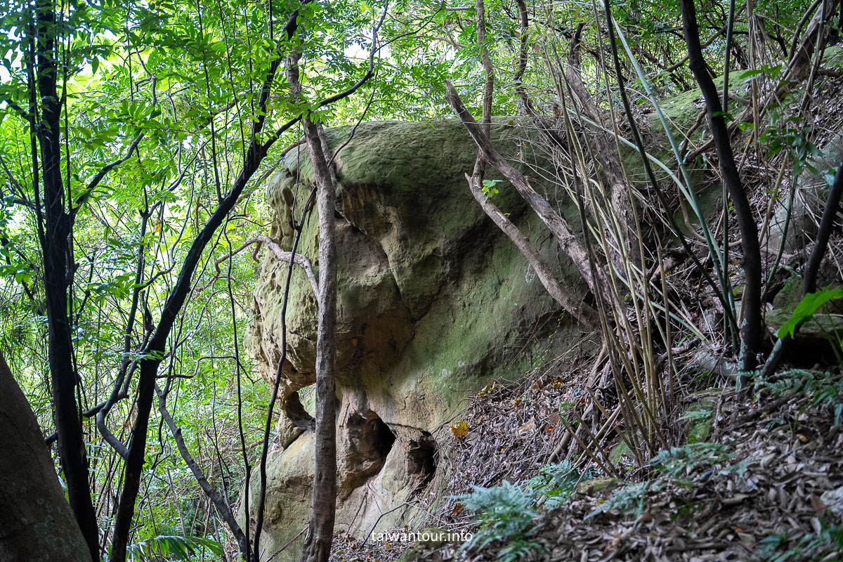 【芝山岩文化史蹟公園】台步親子步道推薦.士林