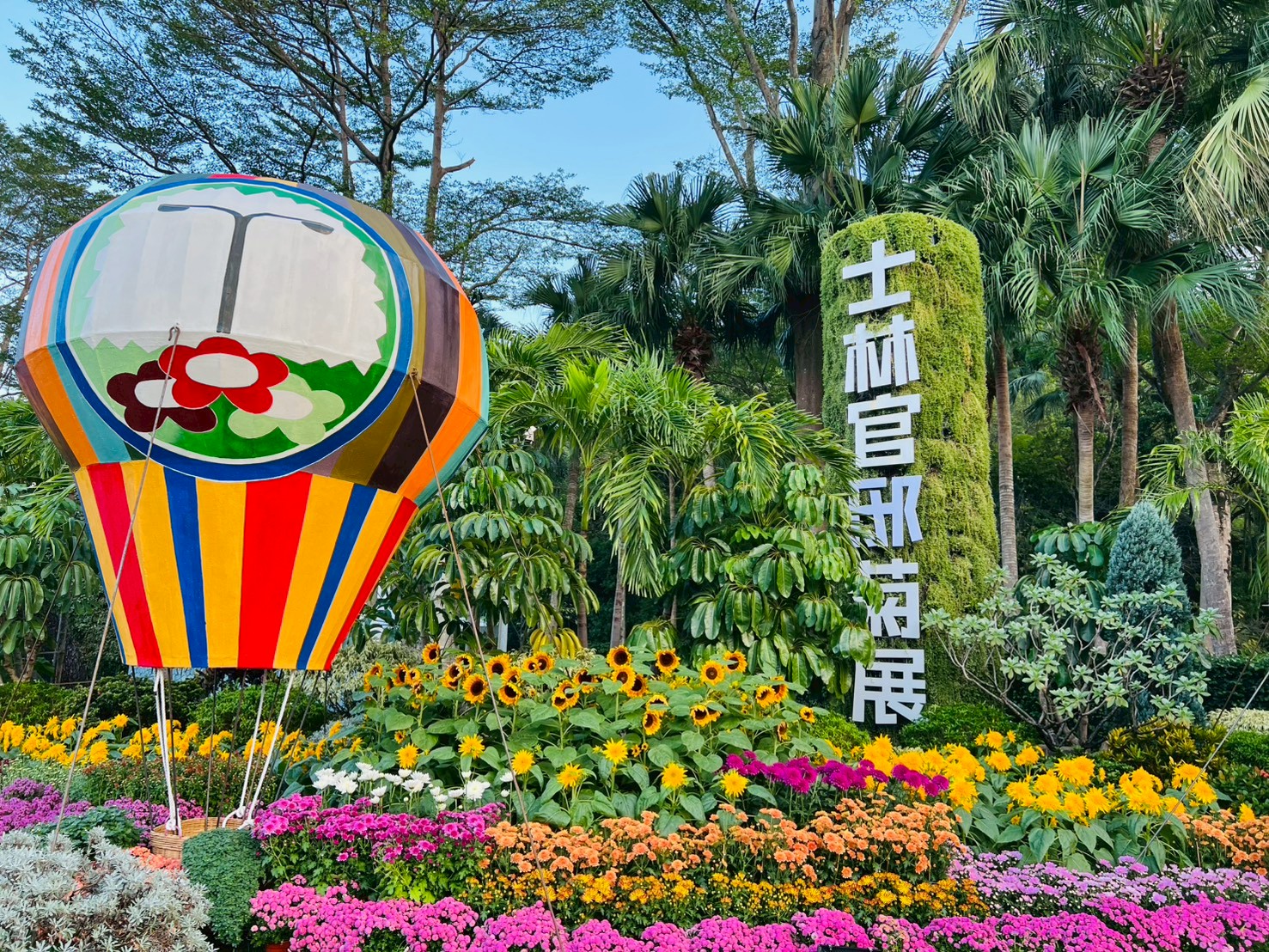 【2025士林官邸菊展||藝菊圓夢】一日遊公車交通.周邊美食