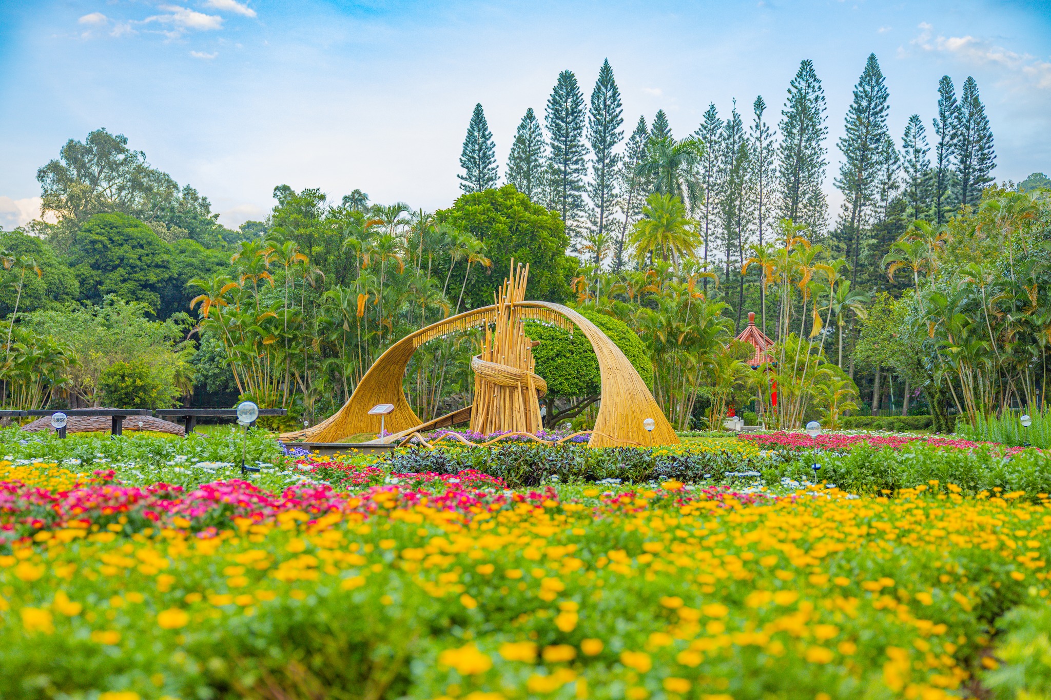 【2025士林官邸菊展||藝菊圓夢】一日遊公車交通.周邊美食