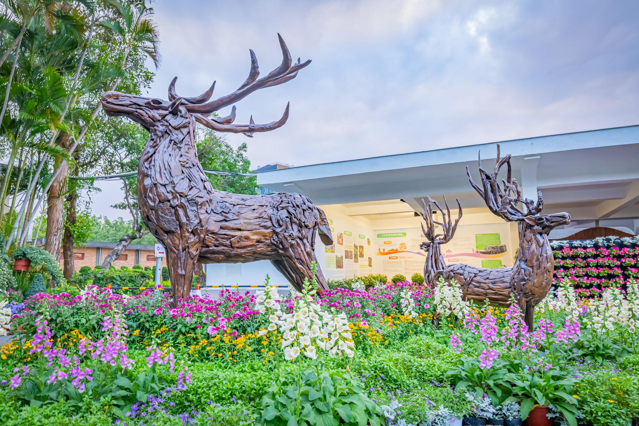 【2025士林官邸菊展||藝菊圓夢】一日遊公車交通.周邊美食