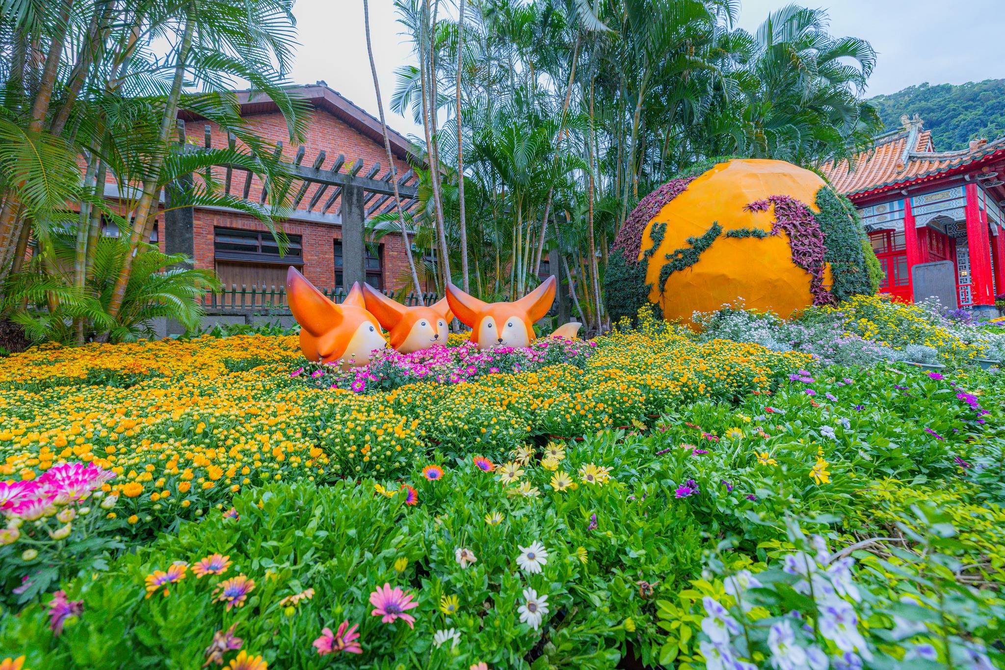 【2025士林官邸菊展||藝菊圓夢】一日遊公車交通.周邊美食