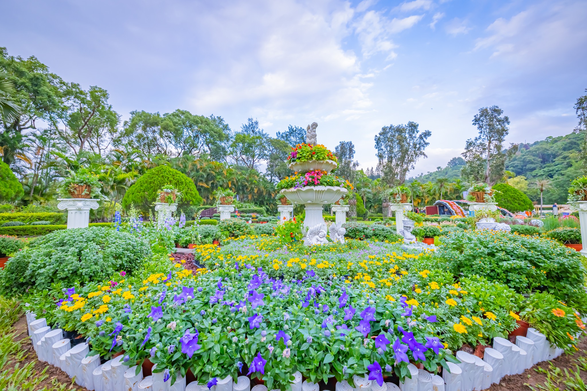 【2025士林官邸菊展||藝菊圓夢】一日遊公車交通.周邊美食