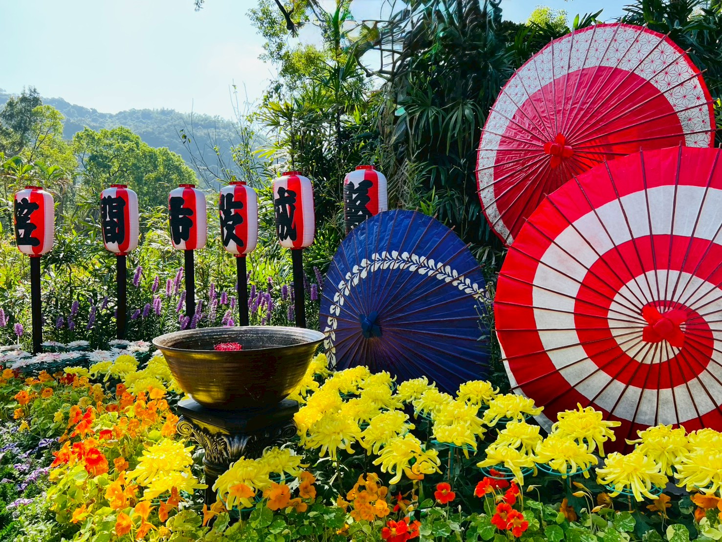 【2025士林官邸菊展||藝菊圓夢】一日遊公車交通.周邊美食
