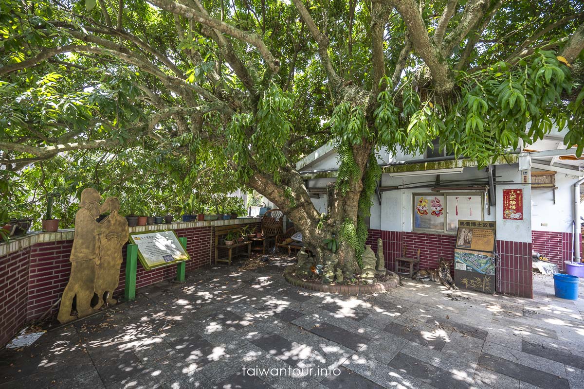 【苗栗獅潭老街一日遊】探訪馬偕足跡、必吃仙草美食