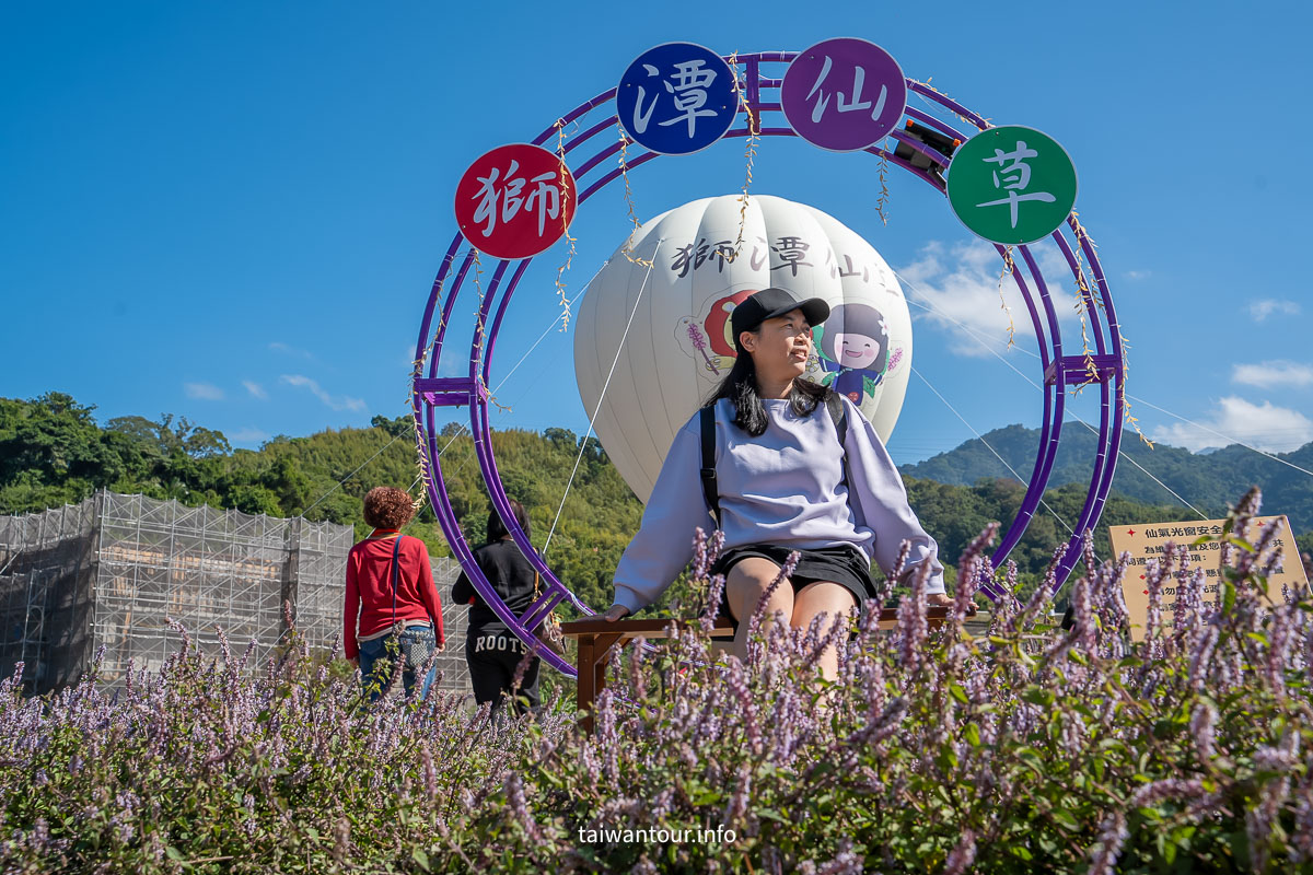 【2025苗栗縣獅潭鄉仙草花節】獅潭花饗宴景點推薦交通.活動介紹