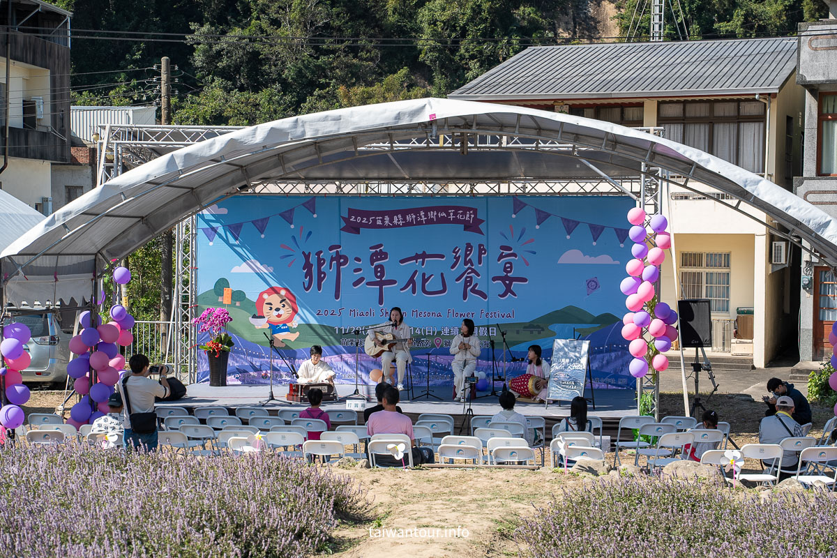 【2025苗栗縣獅潭鄉仙草花節】獅潭花饗宴景點推薦交通.活動介紹