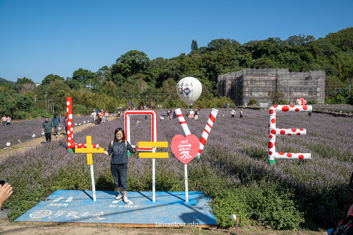 【2025苗栗縣獅潭鄉仙草花節】獅潭花饗宴景點推薦交通.活動介紹