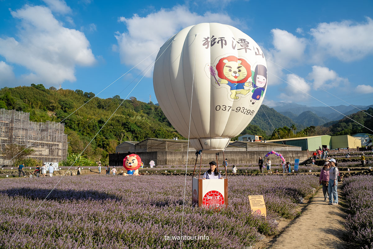 【2025苗栗縣獅潭鄉仙草花節】獅潭花饗宴景點推薦交通.活動介紹