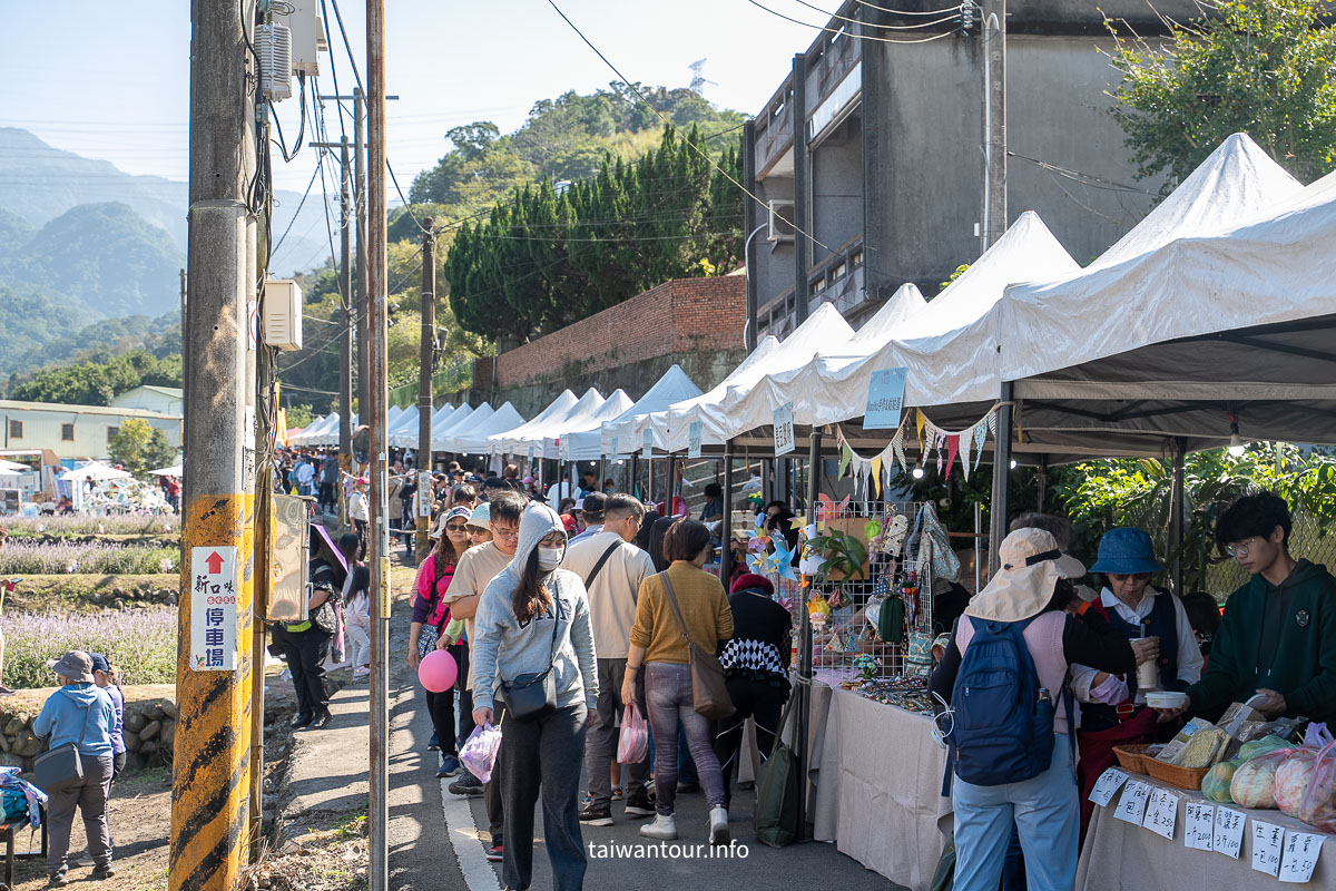 【2025苗栗縣獅潭鄉仙草花節】獅潭花饗宴景點推薦交通.活動介紹