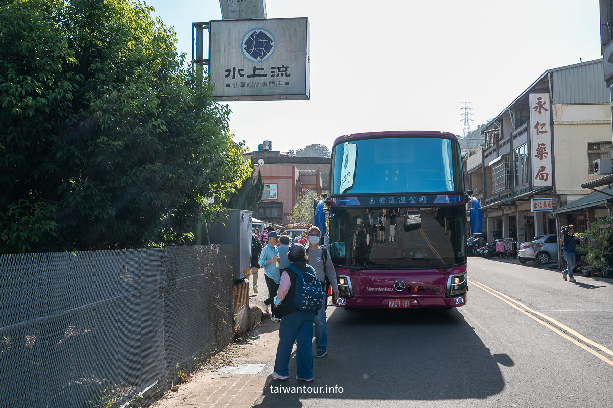 【2025苗栗縣獅潭鄉仙草花節】獅潭花饗宴景點推薦交通.活動介紹