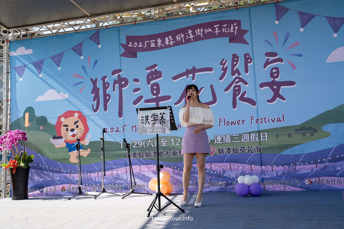 【2025苗栗縣獅潭鄉仙草花節】獅潭花饗宴景點推薦交通.活動介紹