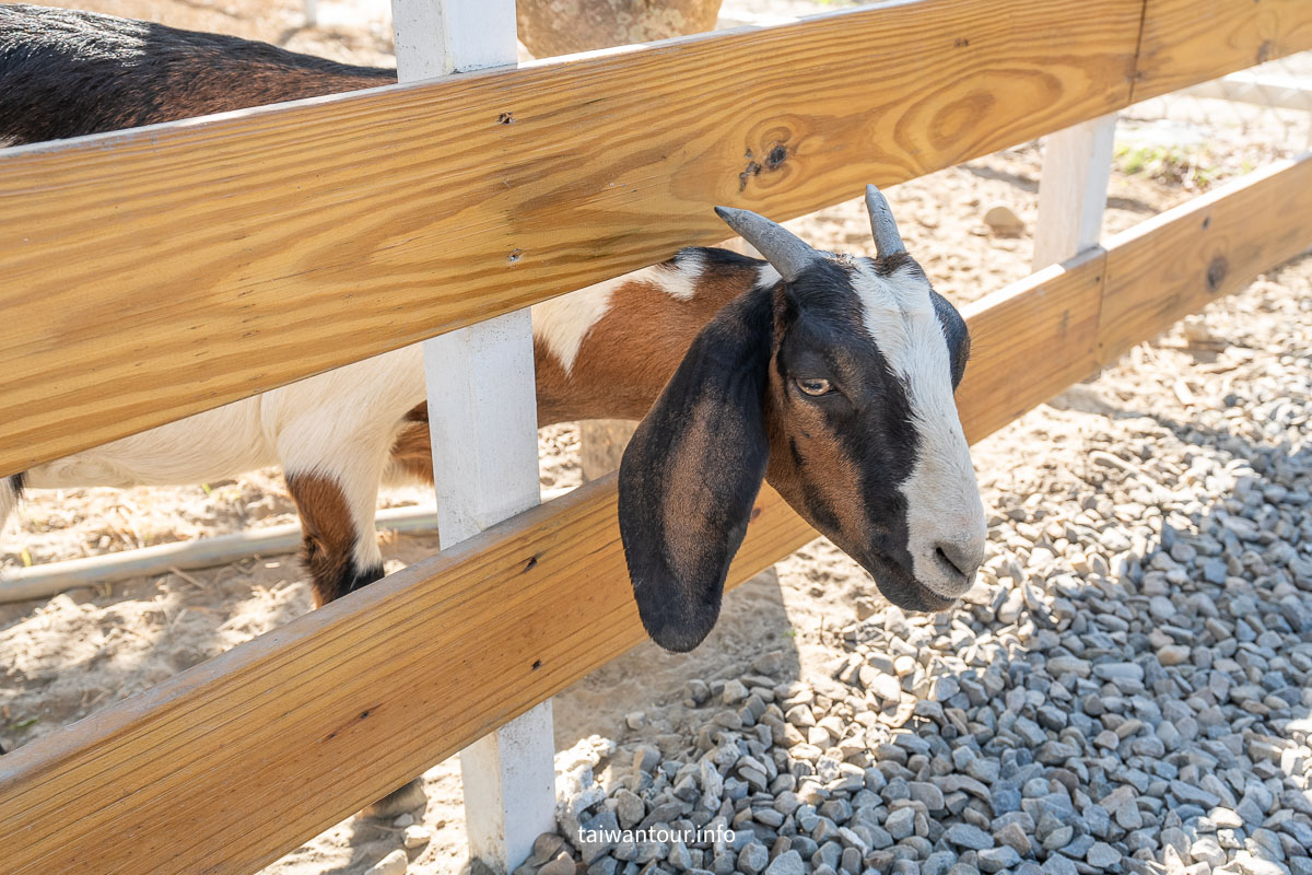 【虎珍堂森之院】雲林虎尾日式景點.地瓜伴手禮 【虎珍堂森之院】雲林虎尾日式景點.地瓜伴手禮