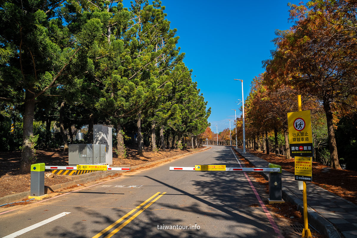 【麗寶落羽松大道】台中后里拍照攻略.交通 【麗寶落羽松大道】台中后里拍照攻略.交通